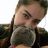 berenicea14